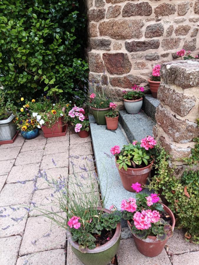 Villa La Cote Du Chat 3* En Bretagne Romantique Hédé Eksteriør billede