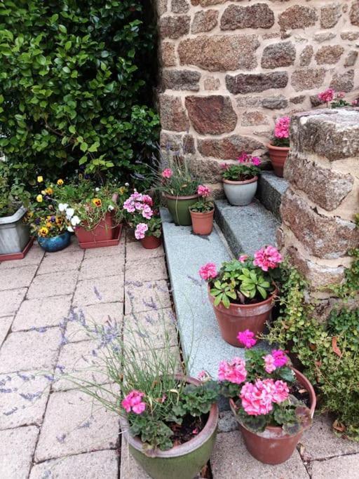Villa La Cote Du Chat 3* En Bretagne Romantique Hédé Eksteriør billede